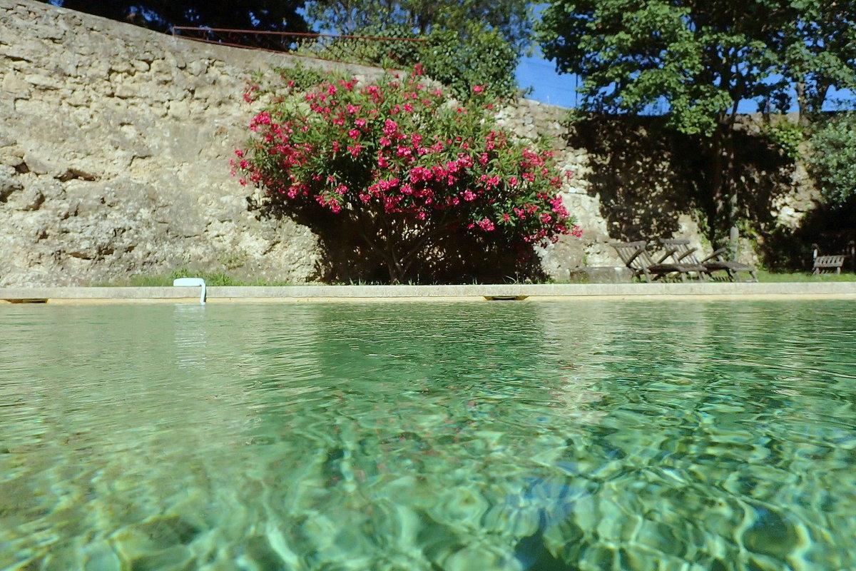 Hotel La Tuilière en Luberon Cadenet Esterno foto